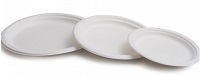Plato Bagazo blanco 17cm