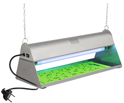 EXTERMINADOR INSECTOS POR ADHERENCIA INOX AJ80000