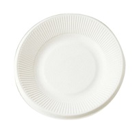 Plto Bionic 21 cm Bagazo Blanco