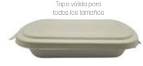 Tapa Envase Fibra caña Azúcar