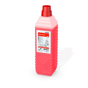 MAXX INTO PLUS