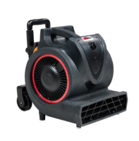 Secador Moqueta BV3