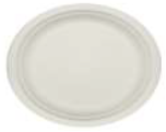 PLATO BAGAZO 18 CMS