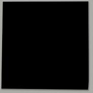 Serv. 33x33 Negra 2C P&P NUPIK