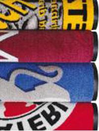 Logovision 200x300 Azul