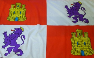 Bandera 209 100x150 Castilla León C/E