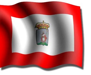 Bandera 209 70x100 Gijón