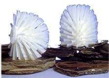 Cep cilíndrico Cab.Red.Pol.Duro