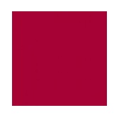 Serv. 40x40 Burdeos Dry Tissue GARCIA DE POU