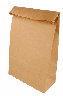BOLSA SOS SIN ASAS 20+9X34,5 KRAFT NATURAL 206.69