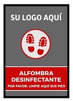 Alfombra Desinfección 60x85 cm