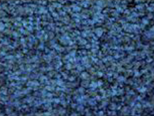 ALFOMBRA STYLIST JASPEADA 120X450 AZUL 80